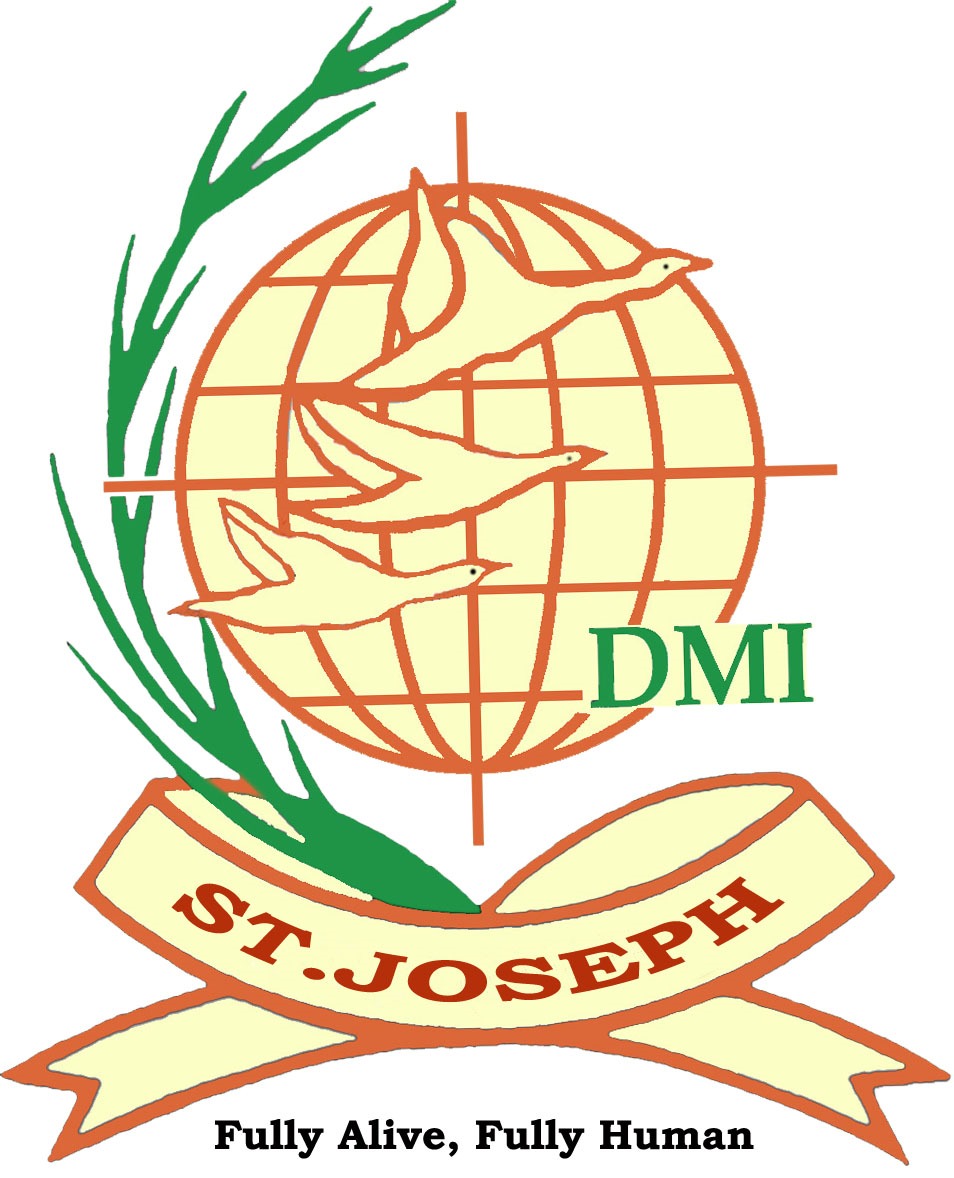 DMI logo